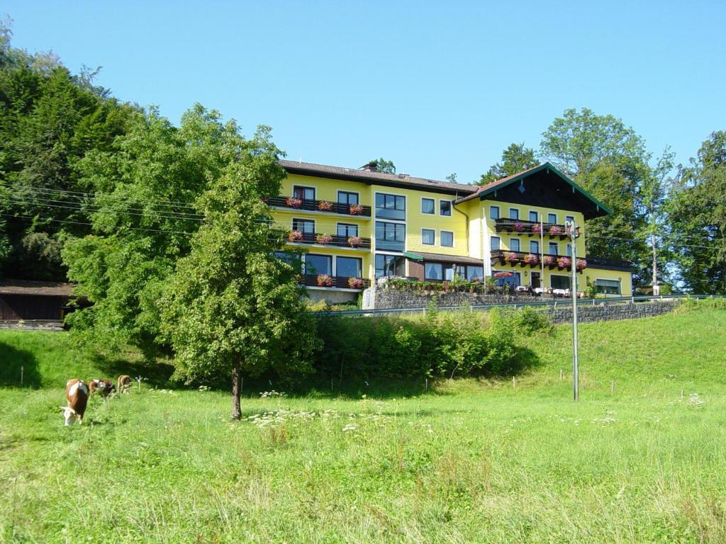 Hotel Zur Schonen Aussicht Übersee Exterior foto